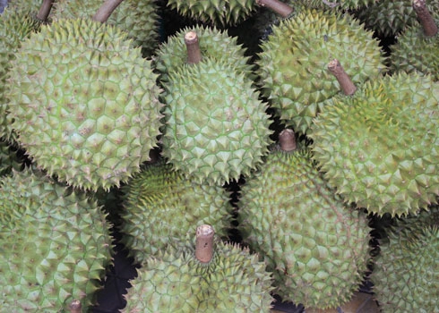 Làm sao để chọn mua trái cây ngon