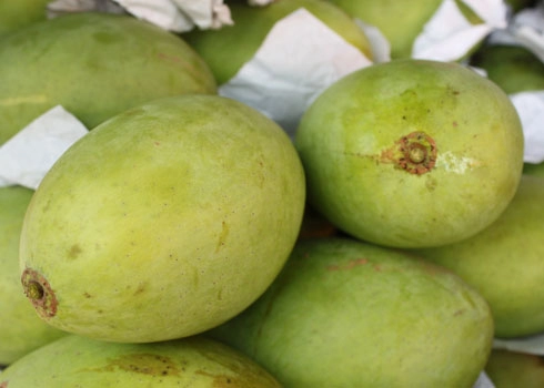 Làm sao để chọn mua trái cây ngon