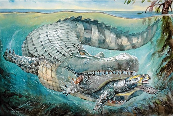 Loài cá sấu dài bằng toa tàu nặng chục tấn