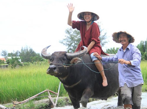 Miền quê xinh đẹp qua những cuốc xe trâu độc đáo