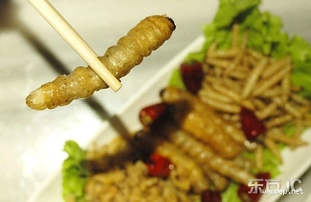 Món ăn khoái khẩu giun rán