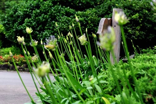 Một vòng bảo tàng thiên nhiên trên đảo jeju