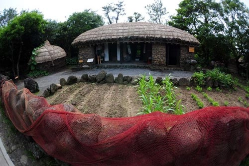 Một vòng bảo tàng thiên nhiên trên đảo jeju