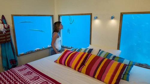 Ngủ với cá ở khách sạn dưới lòng đại dương