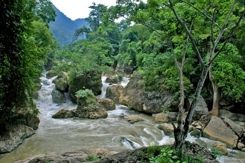 Ngược dòng na hang về ba bể