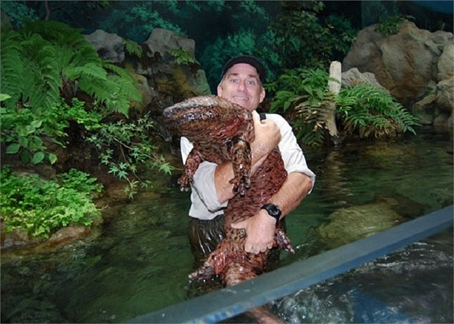 Những con quái thú trên hành tinh xanh