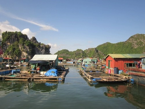 Những điều cần làm khi đến đảo cát bà