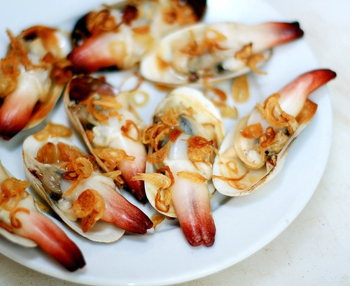 Những điều cần làm khi đến đảo cát bà