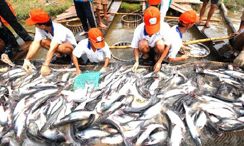 Những hàng hóa việt thắng trung quốc trên sân nhà