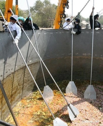 Nồi cơm biryani khổng lồ