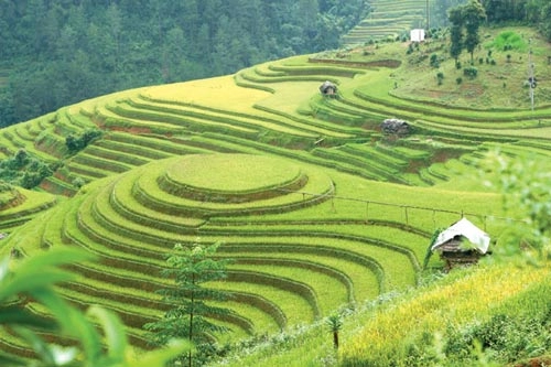 Phượt miền núi thú chơi của tao nhân