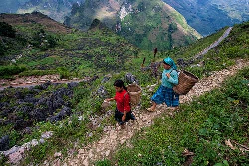 Rong chơi miền tây bắc những ngày mùa