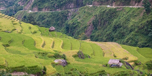 Rong chơi miền tây bắc những ngày mùa