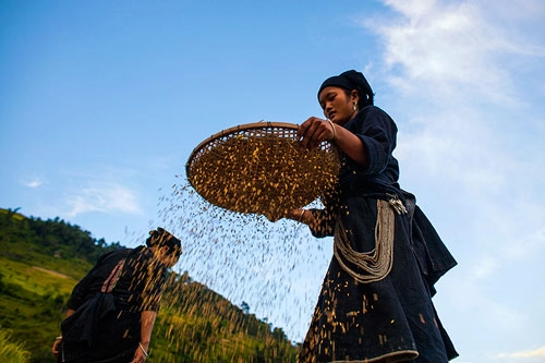 Rong chơi miền tây bắc những ngày mùa