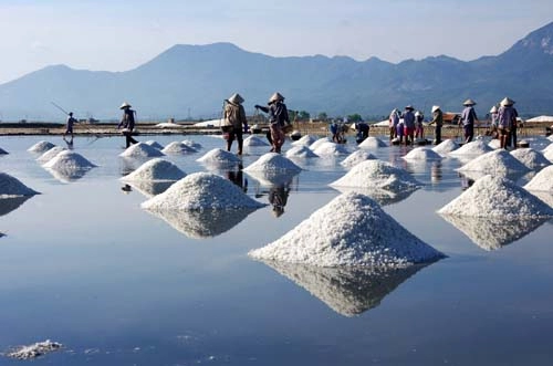 Sa huỳnh thắng cảnh trong lòng di tích cổ