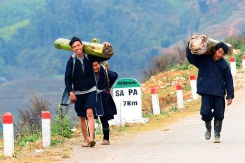 Sa pa cà phê trong mây