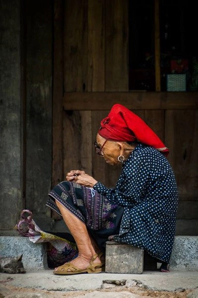 Sa pa cà phê trong mây
