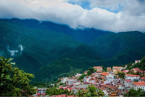 Sa pa cà phê trong mây