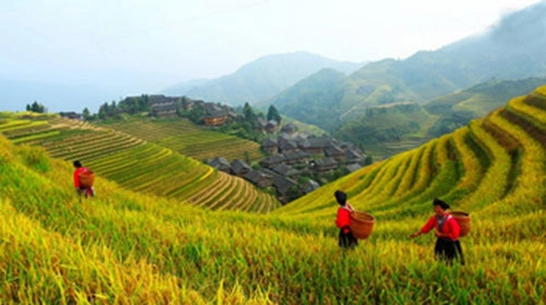 Sắc thu lộng lẫy ở trung quốc