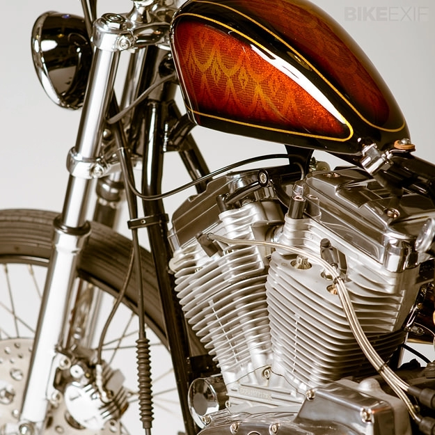 Sportster 1200 nét chấm phá khác lạ