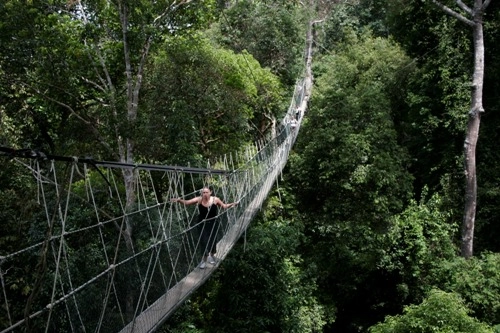 Thám hiểm rừng nguyên sinh taman negara