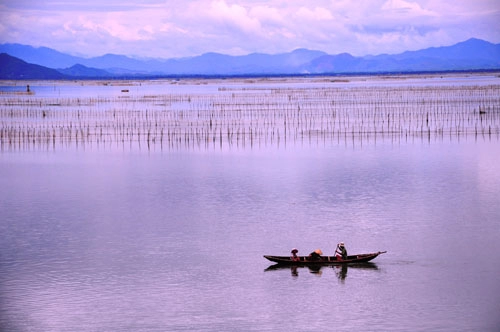 Thu về trên phá tam giang