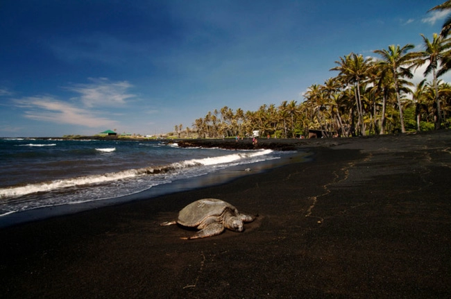 Top 10 điểm du lịch đốn tim du khách ở hawaii