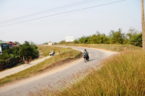 Vạt cỏ ven đê đón mùa đông