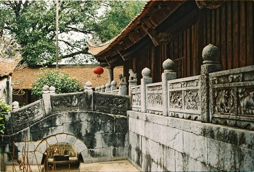 Vạt cỏ ven đê đón mùa đông