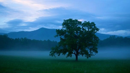 Vẻ đẹp hoang dại của dãy núi great smoky