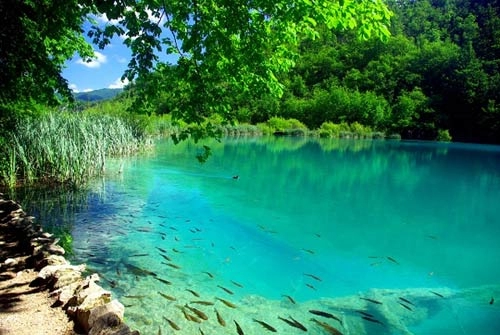 Vẻ đẹp ngộp thở của vườn quốc gia croatia