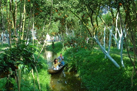 Về miền lục tỉnh rước tết