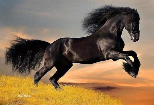 Những con ngựa nổi tiếng trong lịch sử trung quốc