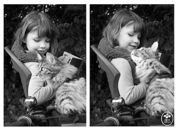 Bộ ảnh về tình bạn thân thiết của cô bé tự kỷ với chú mèo cưng