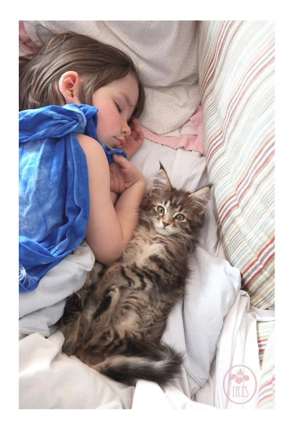 Bộ ảnh về tình bạn thân thiết của cô bé tự kỷ với chú mèo cưng