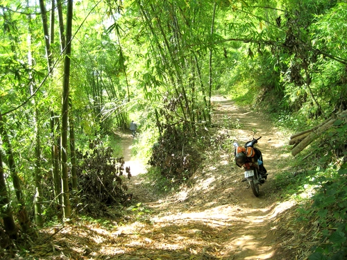 Chinh phục đường tre suối muống - thanh hóa