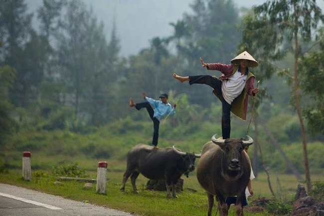 Em đang ở đâu để anh phi trâu đến đón