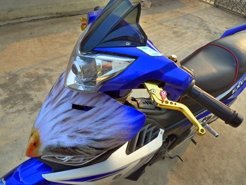 Ex độ độc đáo ở hà nam