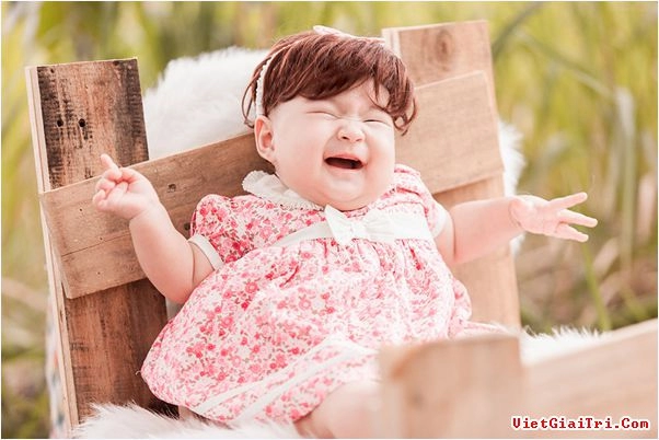 Hai con lý hải đáng yêu như thiên thần