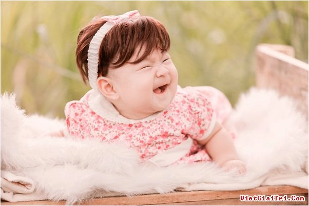 Hai con lý hải đáng yêu như thiên thần