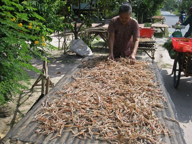 Về an giang thưởng thức khô vũ nữ chân dài