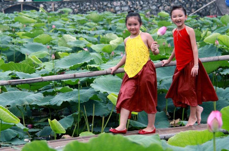 Vẻ đẹp trong trẻo của các bé bên hoa sen