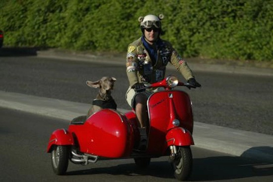Vespa 3 bánh - vẻ đẹp mê hồn