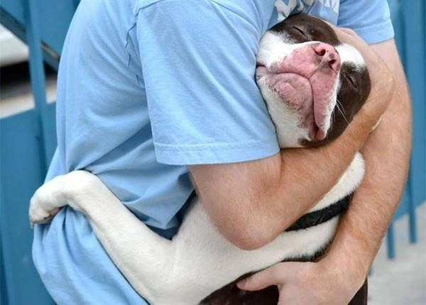 24 khoảnh khắc đầy yêu thương giữa con người và những chú chó