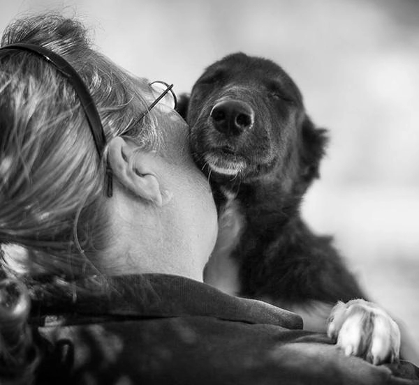 24 khoảnh khắc đầy yêu thương giữa con người và những chú chó