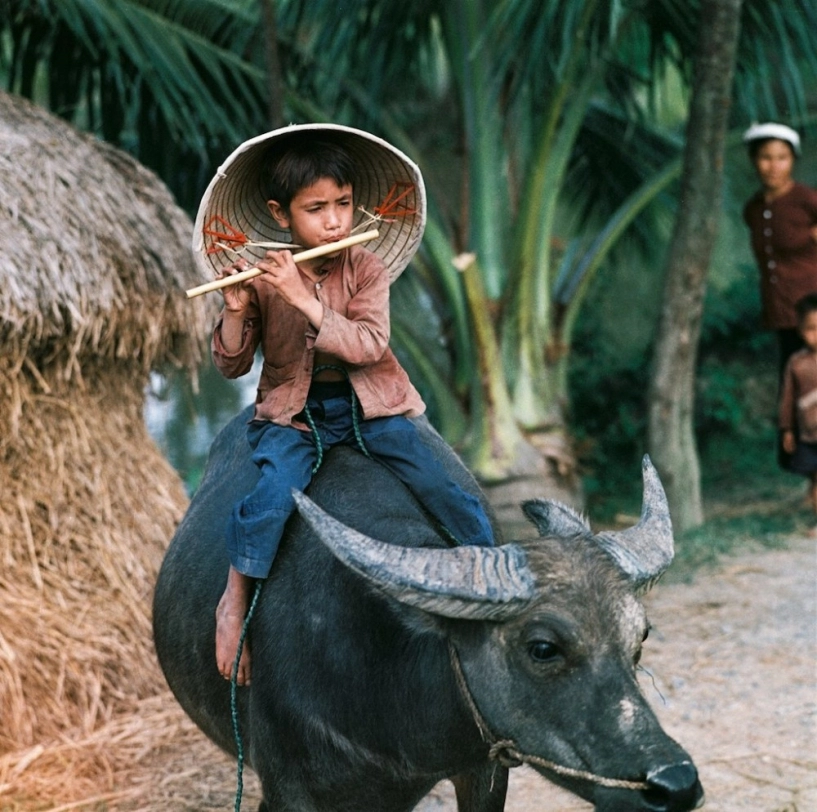 40 bức ảnh màu vô giá về miền bắc việt nam trước 1975