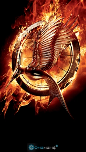 Catchingfire nổi lửa cùng hunger game