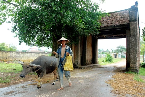 Đi thăm làng cổ đường lâm bằng xe đạp