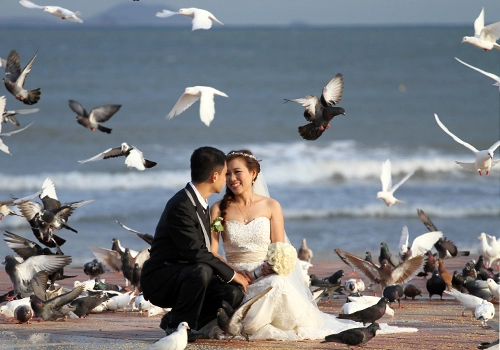 Đường đẹp nhất đà nẵng mang tên đại tướng võ nguyên giáp