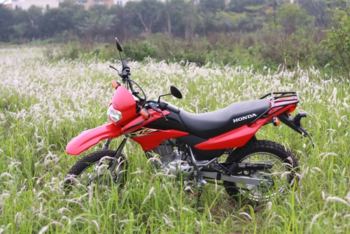 Honda xr125l tại việt nam 